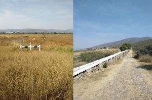 Caminos internos empedrados - A.R.C. Inmobiliaria